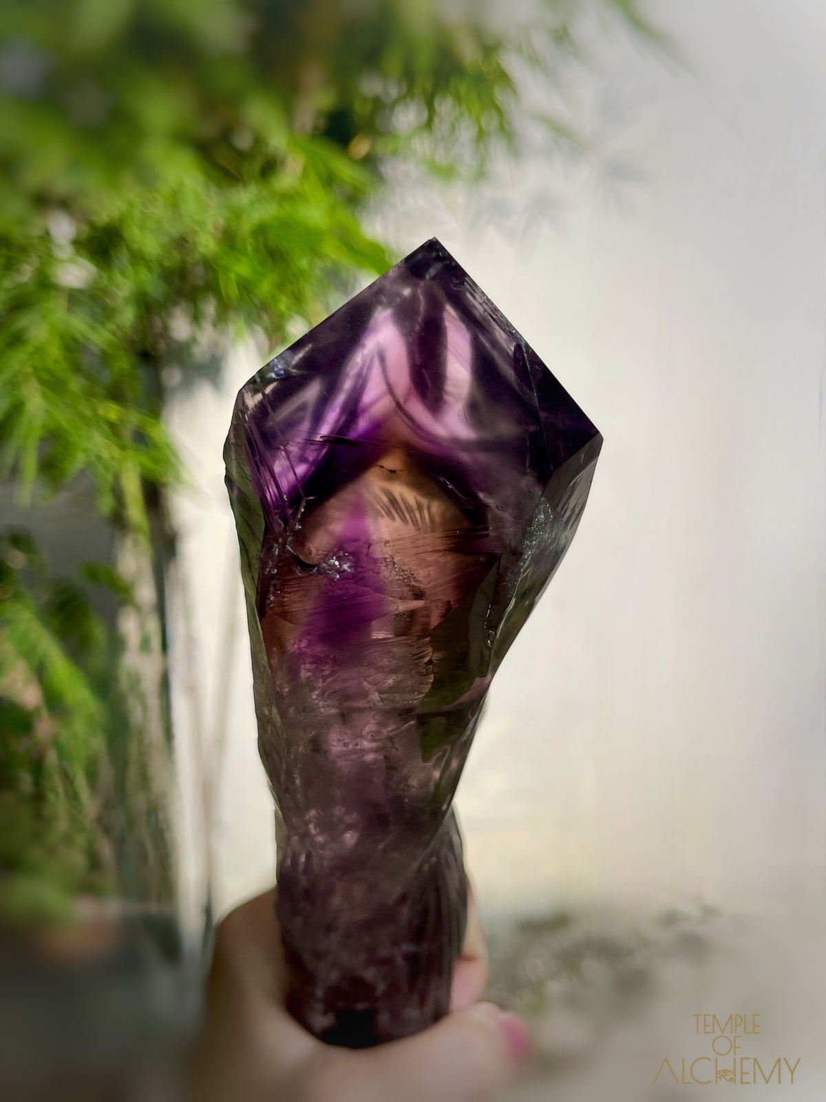 Record Keeper 𓄂♡𓆃 Phantom Ametrine