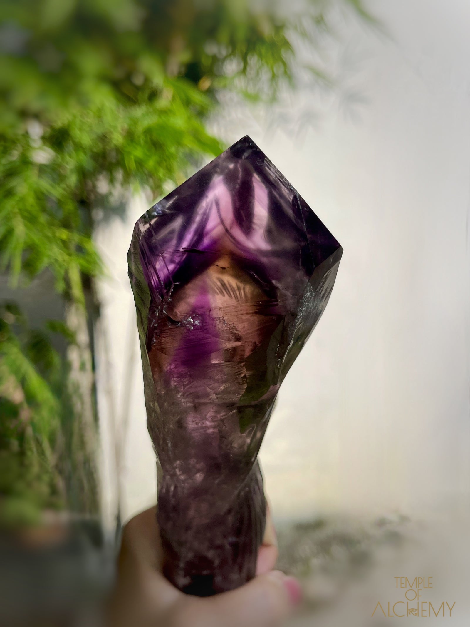 Record Keeper 𓄂♡𓆃 Phantom Ametrine