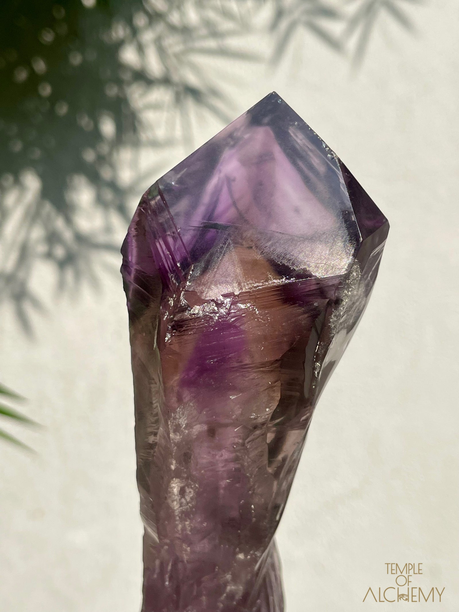 Record Keeper 𓄂♡𓆃 Phantom Ametrine