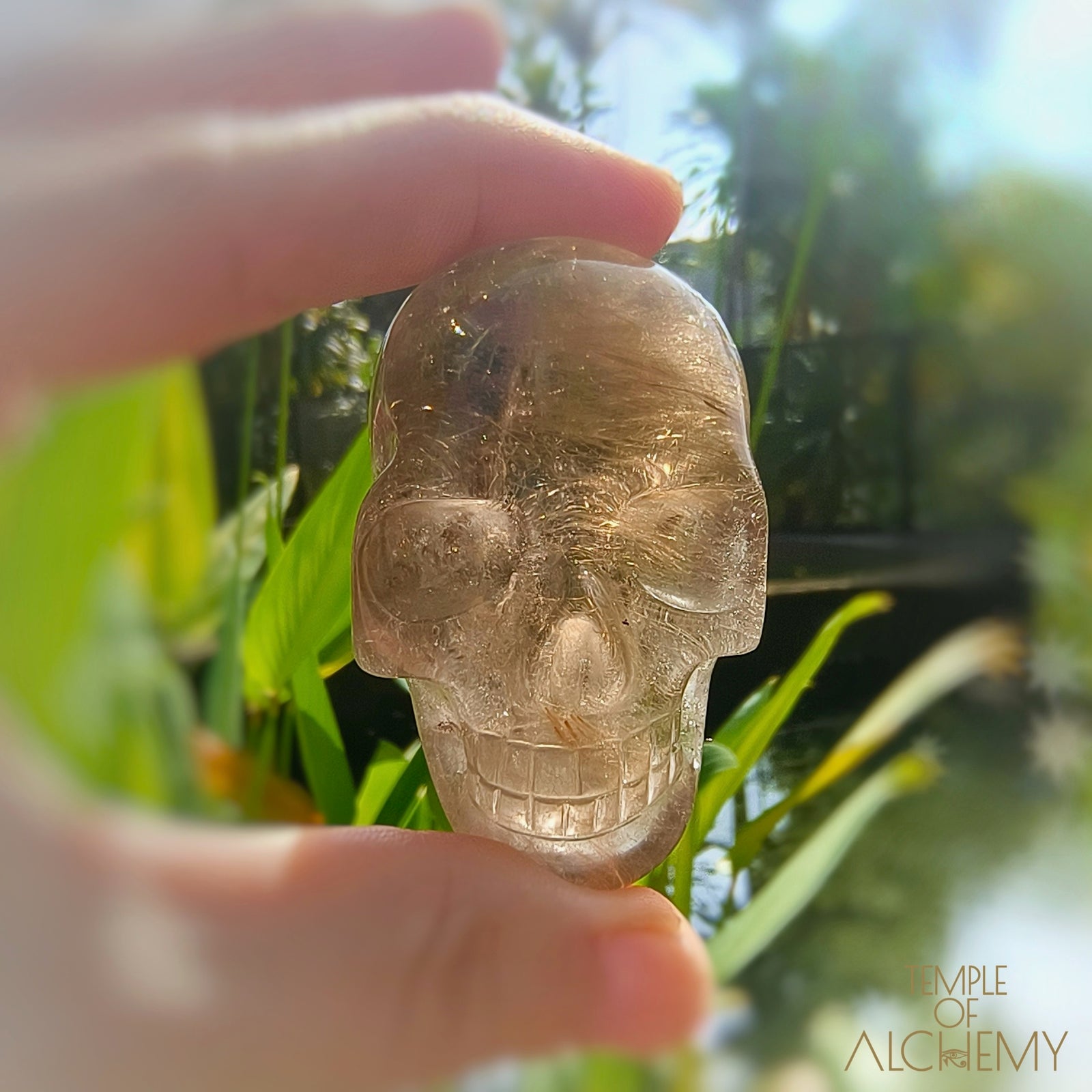 Smoky Quartz x Golden Rutiles