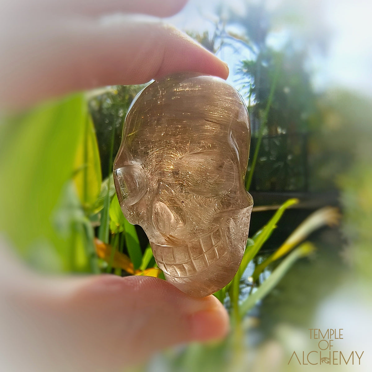 Smoky Quartz x Golden Rutiles