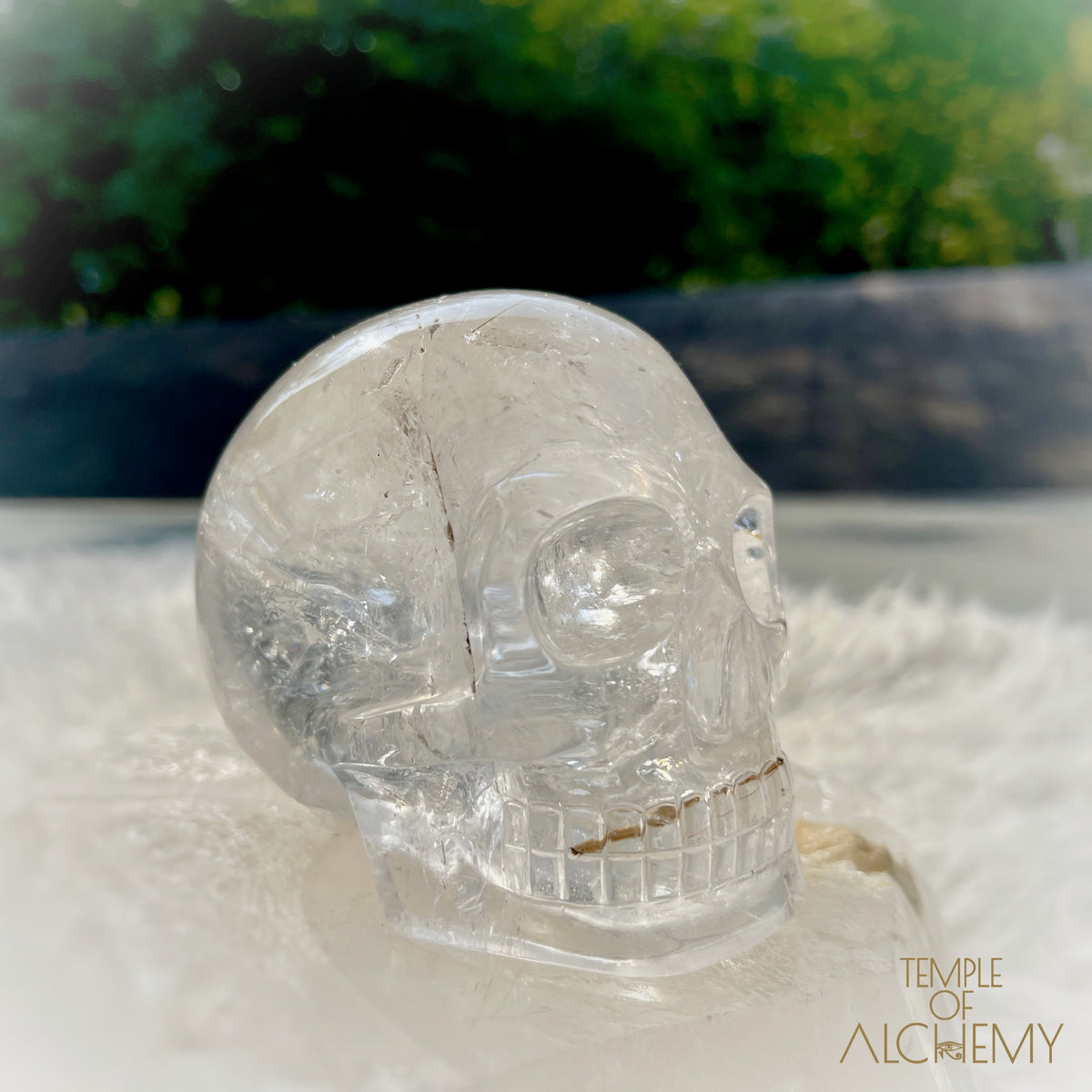 Golden X Copper Rutiles in Clear Quartz