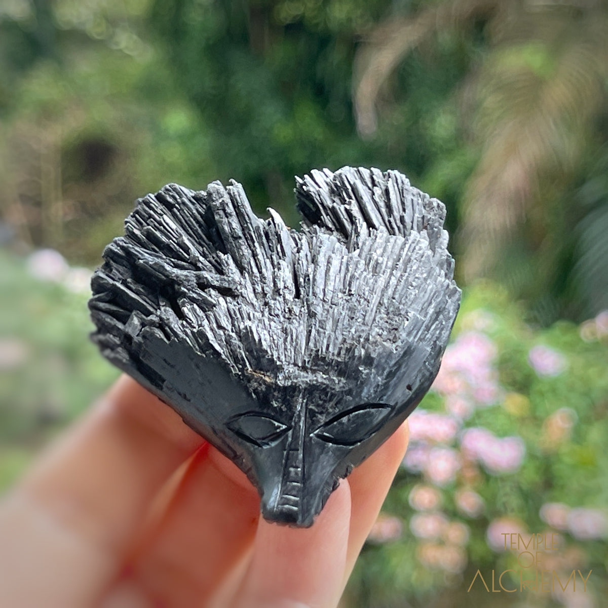 Black Kyanite