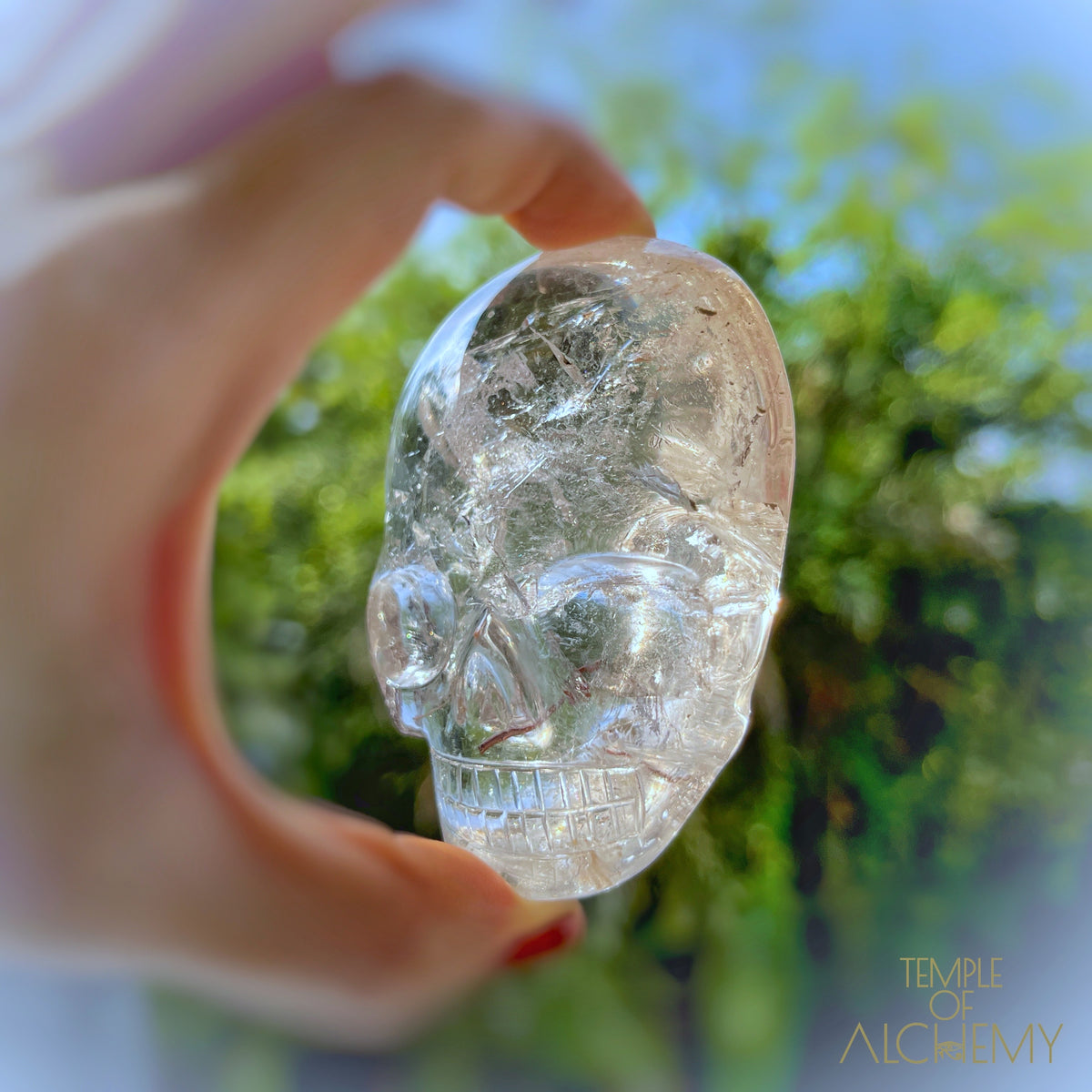 Copper x Silver Rutiles in Clear Quartz