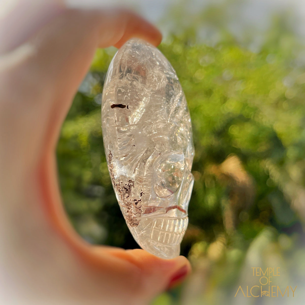 Copper x Silver Rutiles in Clear Quartz