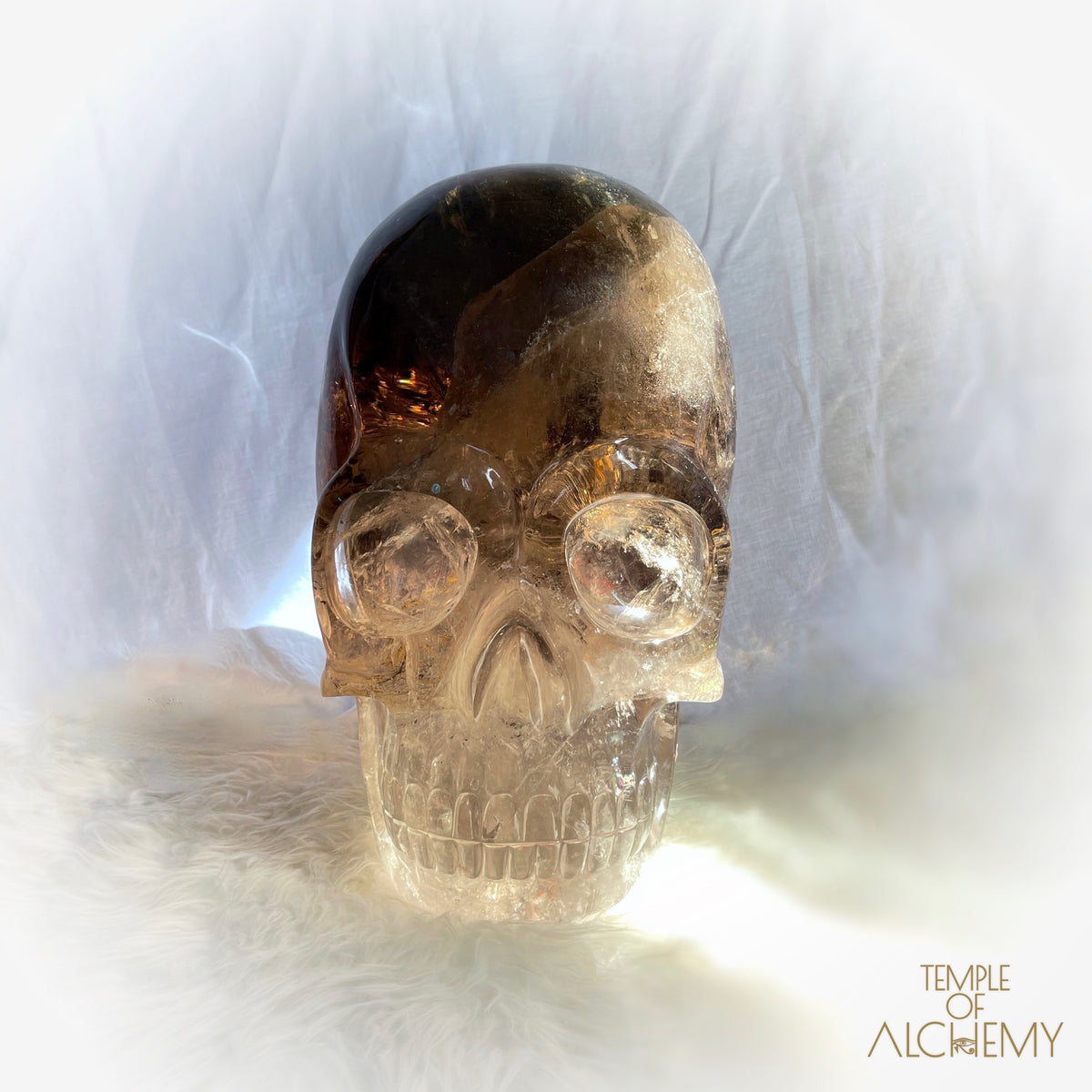 * Reserved * Phallon 𓆃 Warrior #169 The Cosmic Egg