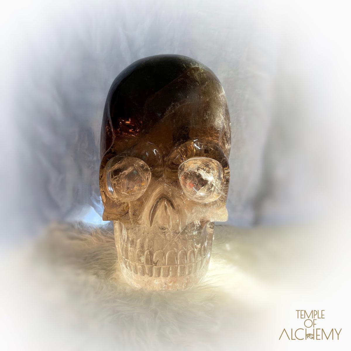 * Reserved * Phallon 𓆃 Warrior #169 The Cosmic Egg