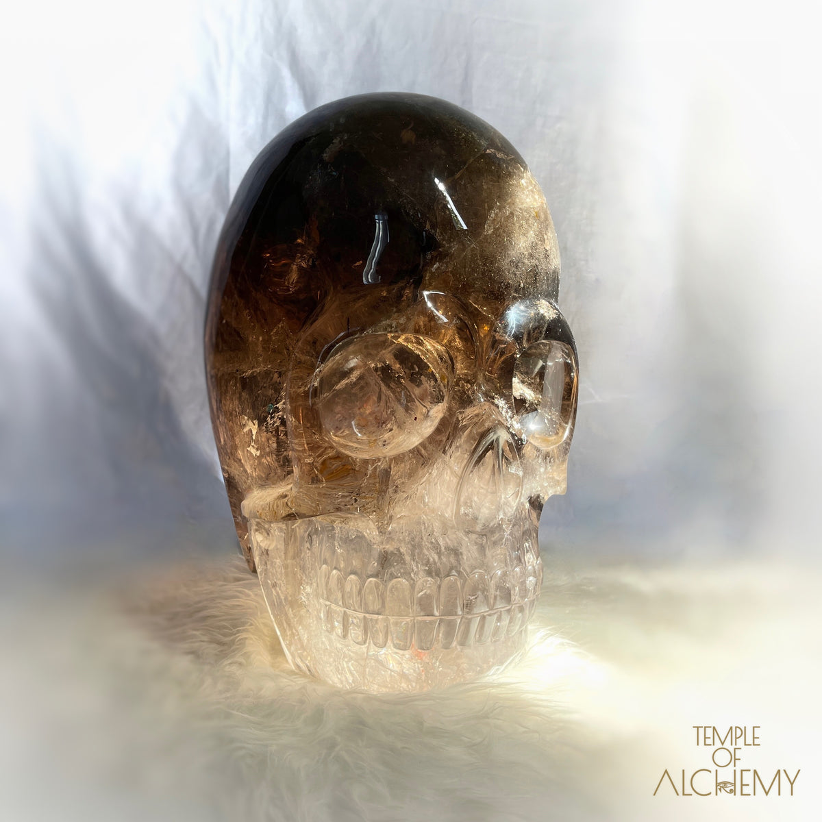 * Reserved * Phallon 𓆃 Warrior #169 The Cosmic Egg