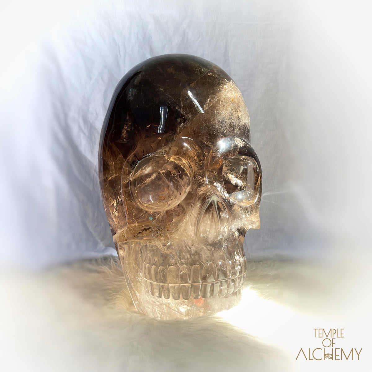 * Reserved * Phallon 𓆃 Warrior #169 The Cosmic Egg