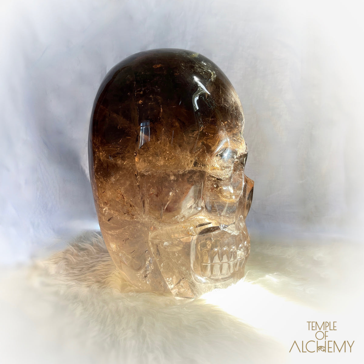 * Reserved * Phallon 𓆃 Warrior #169 The Cosmic Egg