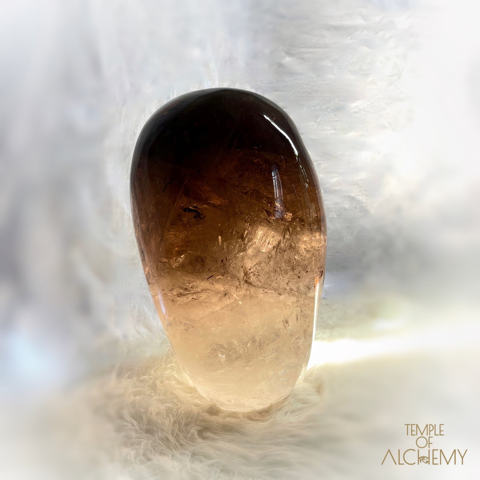 Phallon 𓆃 Warrior #169 The Cosmic Egg