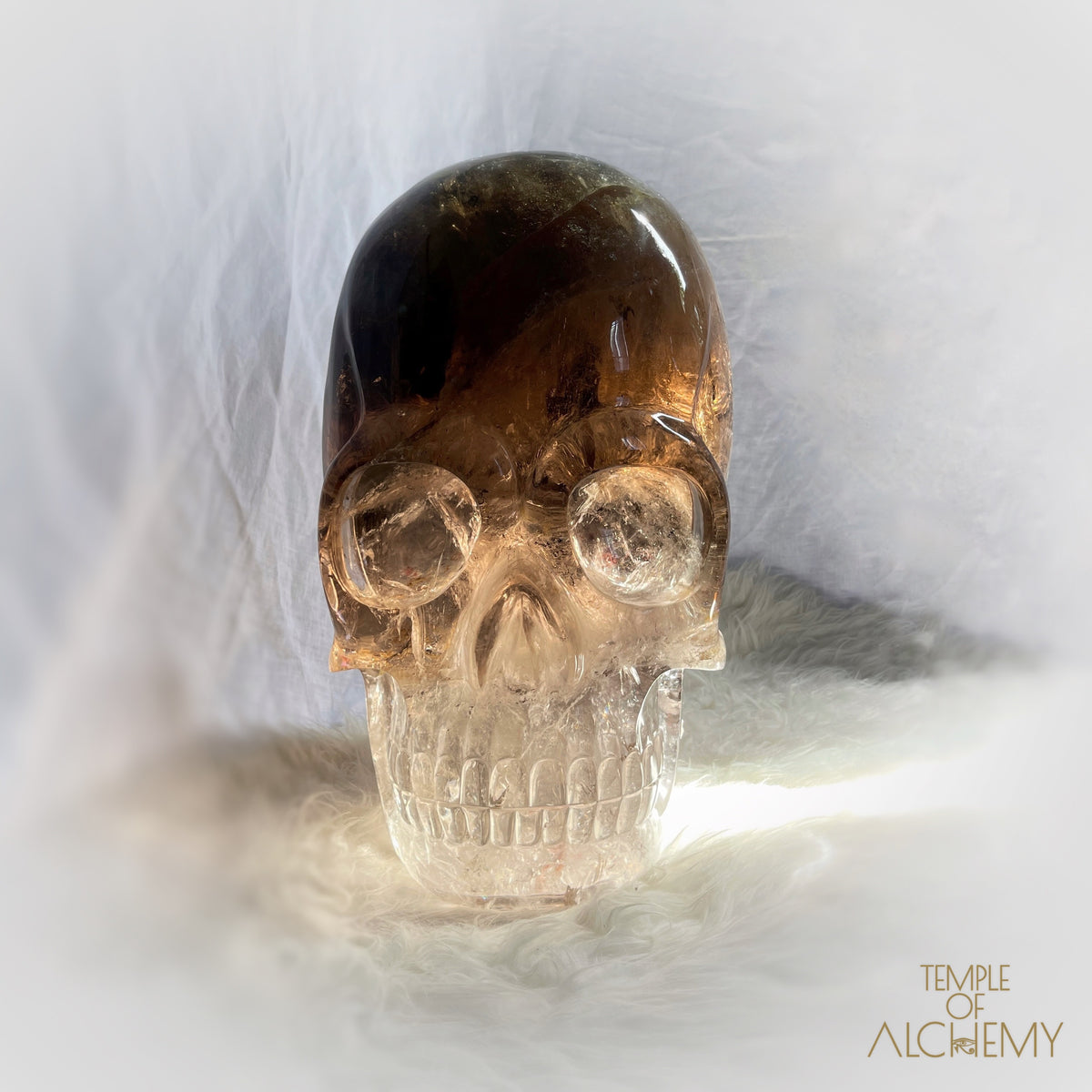 * Reserved * Phallon 𓆃 Warrior #169 The Cosmic Egg