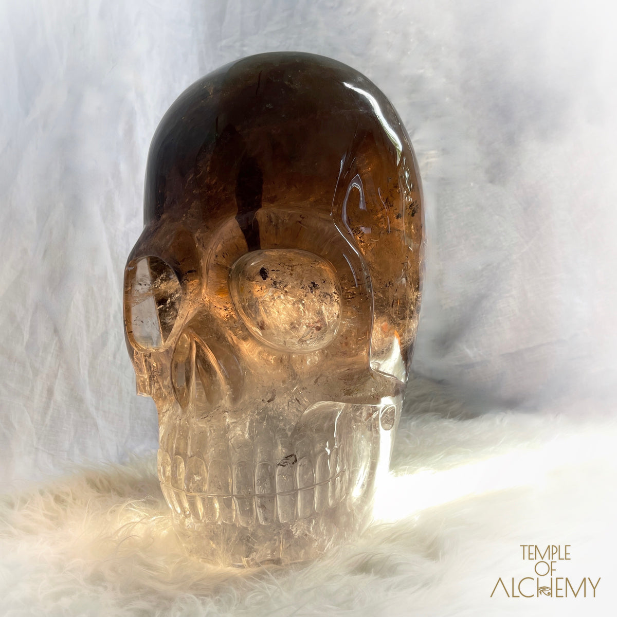 * Reserved * Phallon 𓆃 Warrior #169 The Cosmic Egg