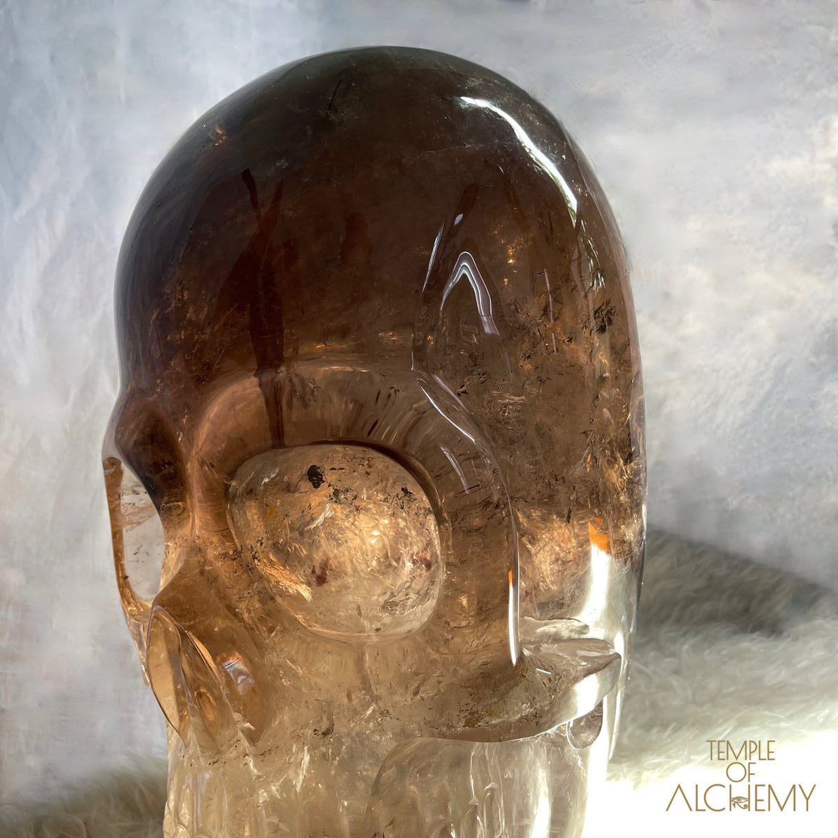 * Reserved * Phallon 𓆃 Warrior #169 The Cosmic Egg