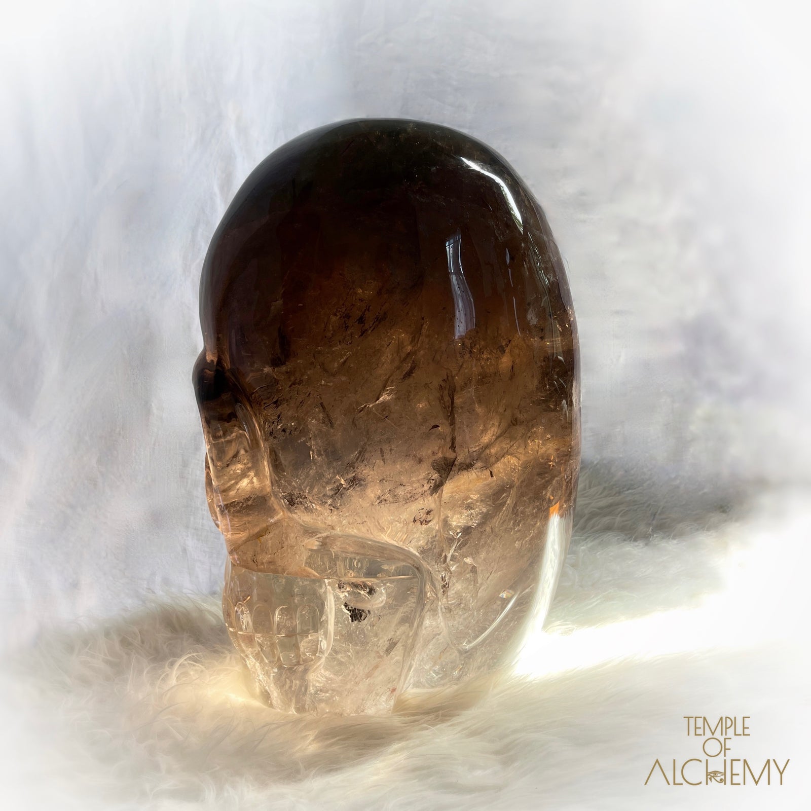Phallon 𓆃 Warrior #169 The Cosmic Egg