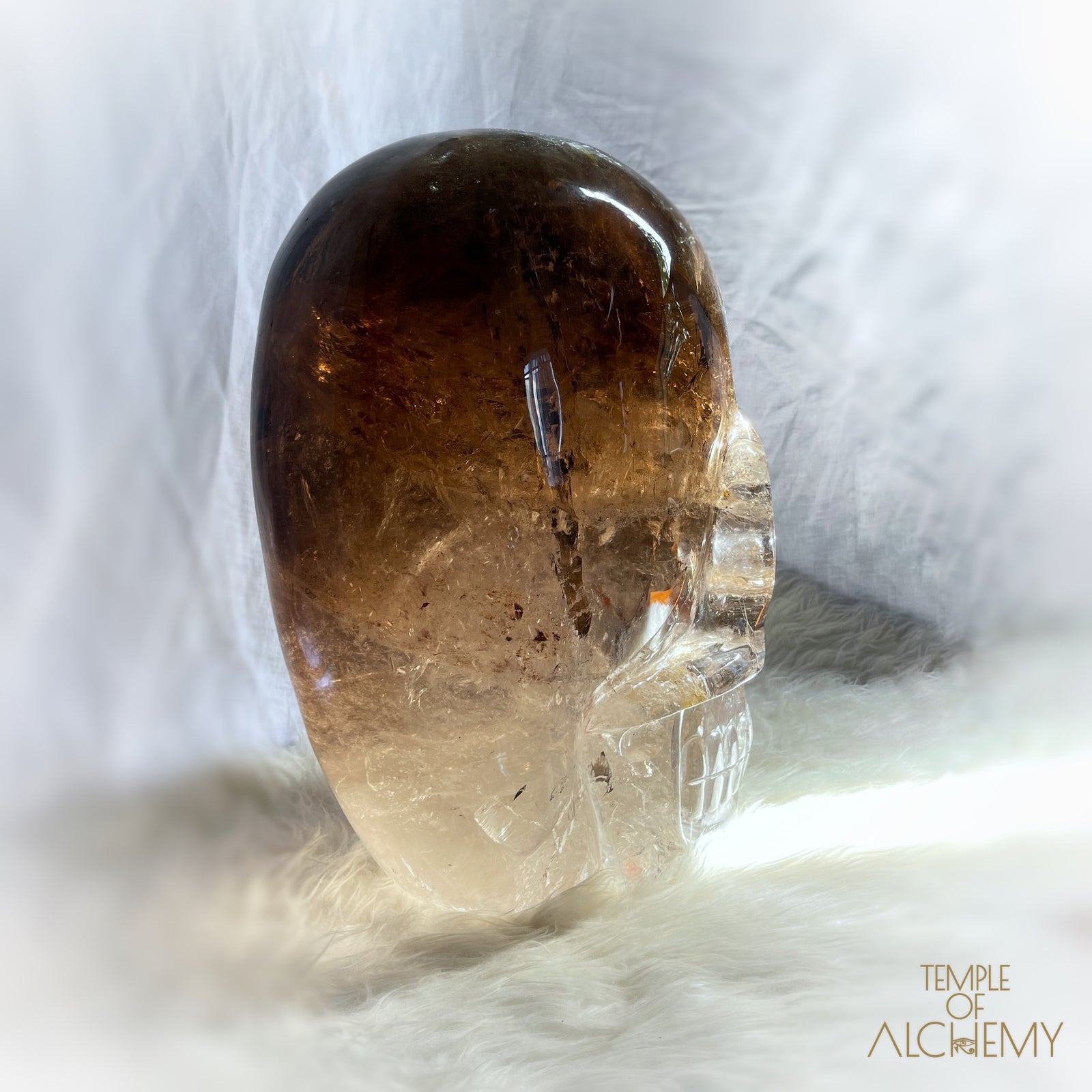 Phallon 𓆃 Warrior #169 The Cosmic Egg