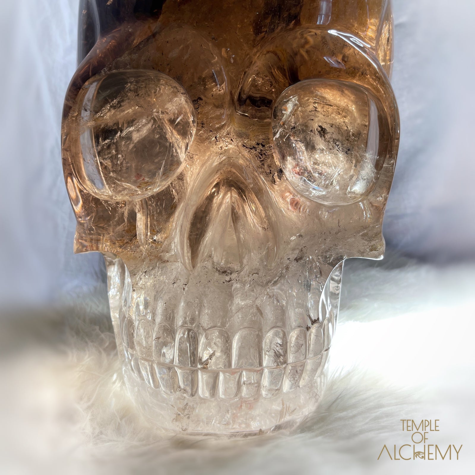 * Reserved * Phallon 𓆃 Warrior #169 The Cosmic Egg