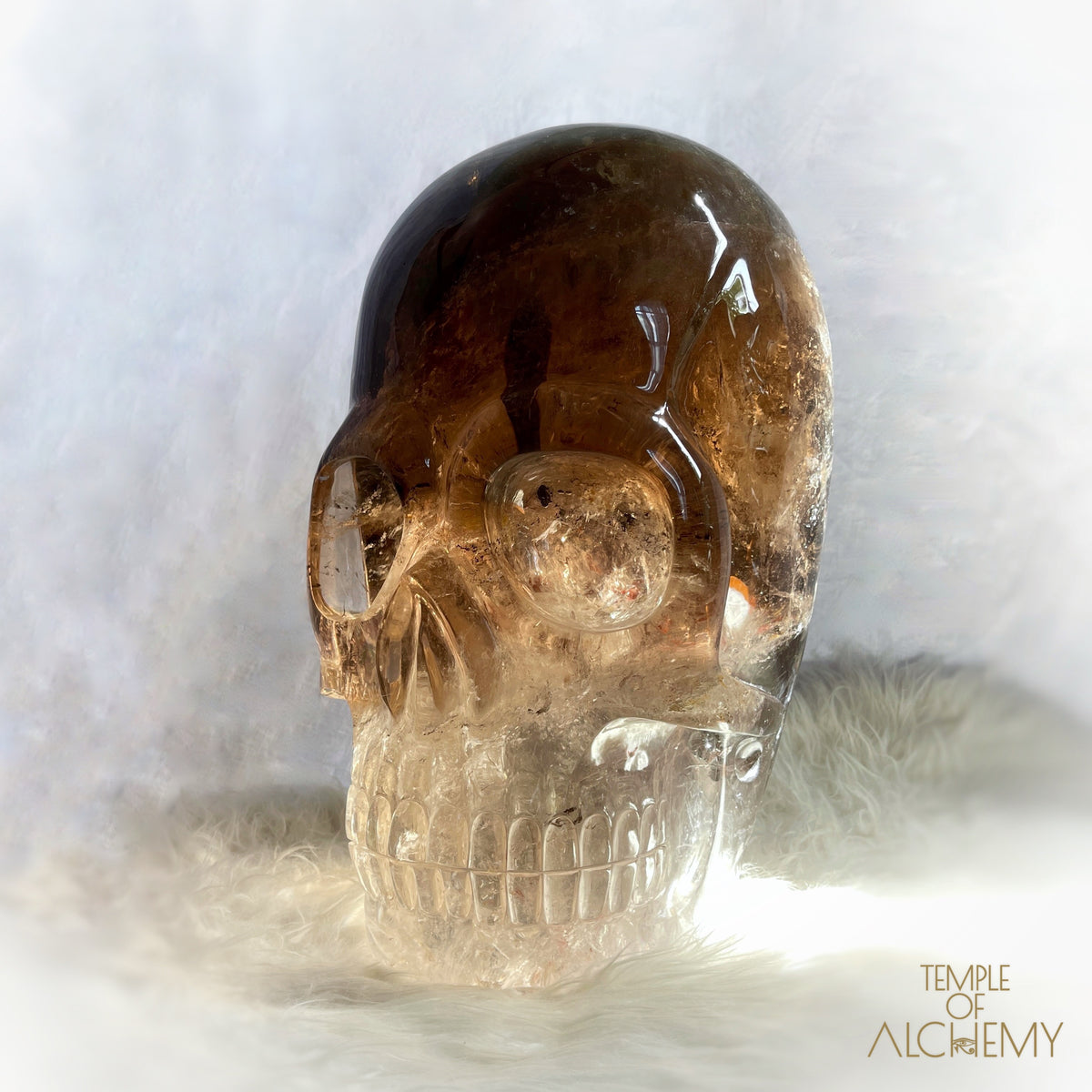 * Reserved * Phallon 𓆃 Warrior #169 The Cosmic Egg