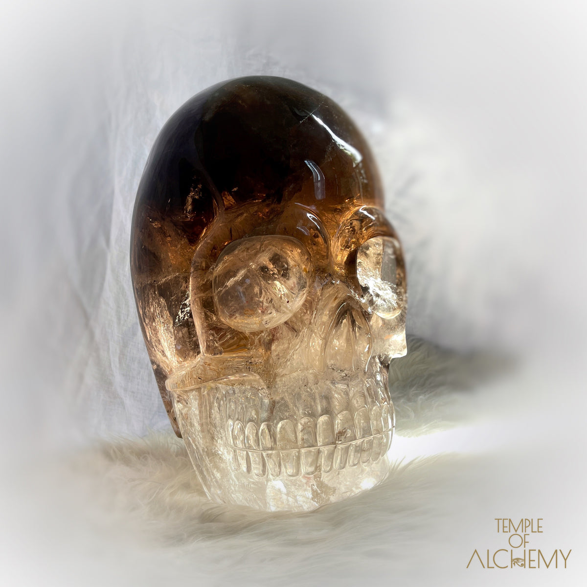 * Reserved * Phallon 𓆃 Warrior #169 The Cosmic Egg