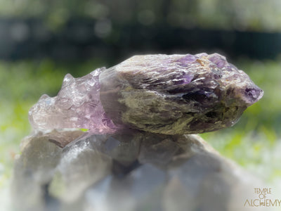 Amethyst Cathedral