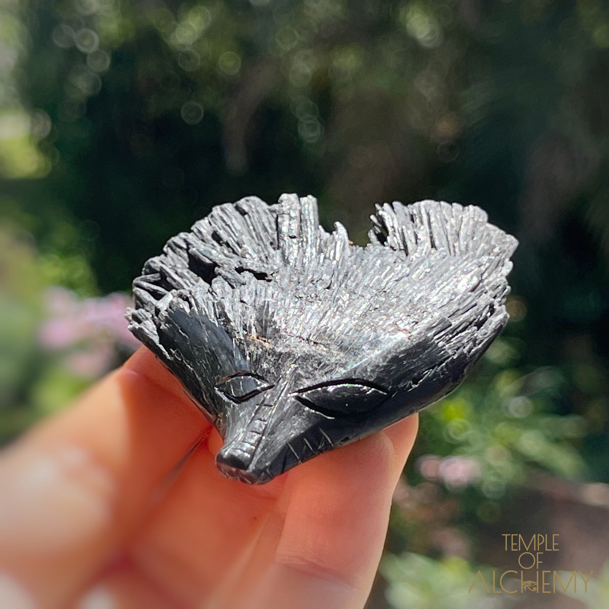 Black Kyanite