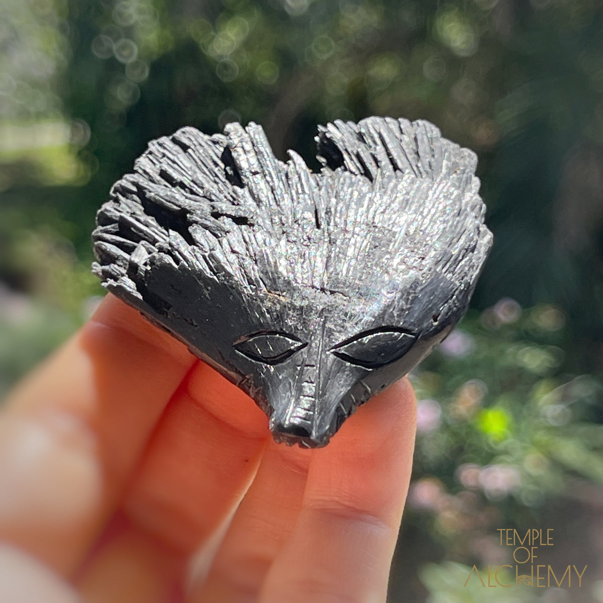 Black Kyanite