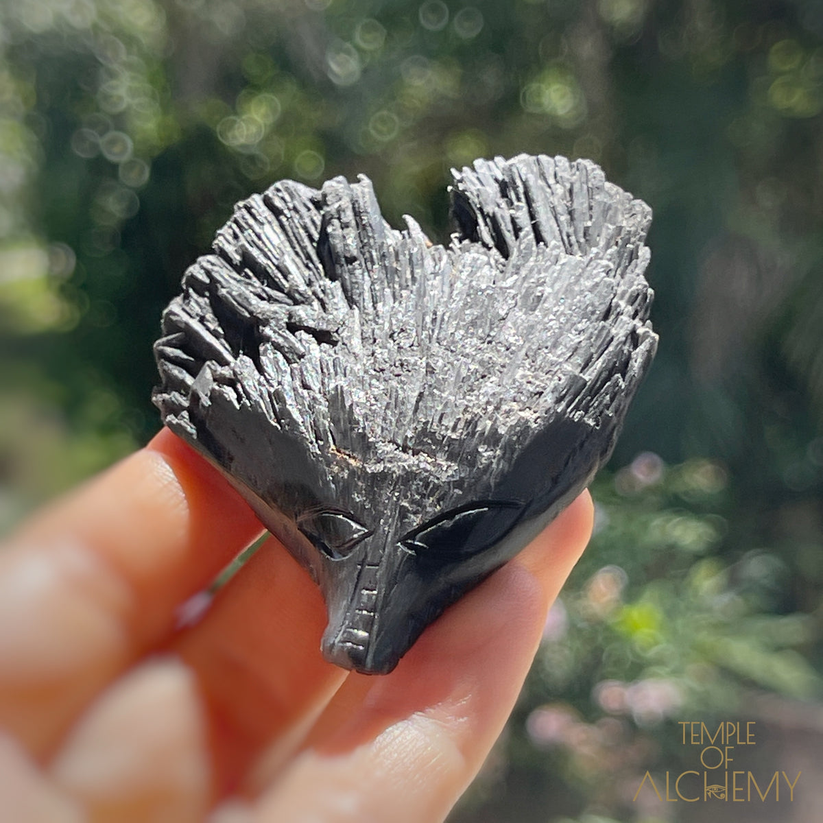 Black Kyanite