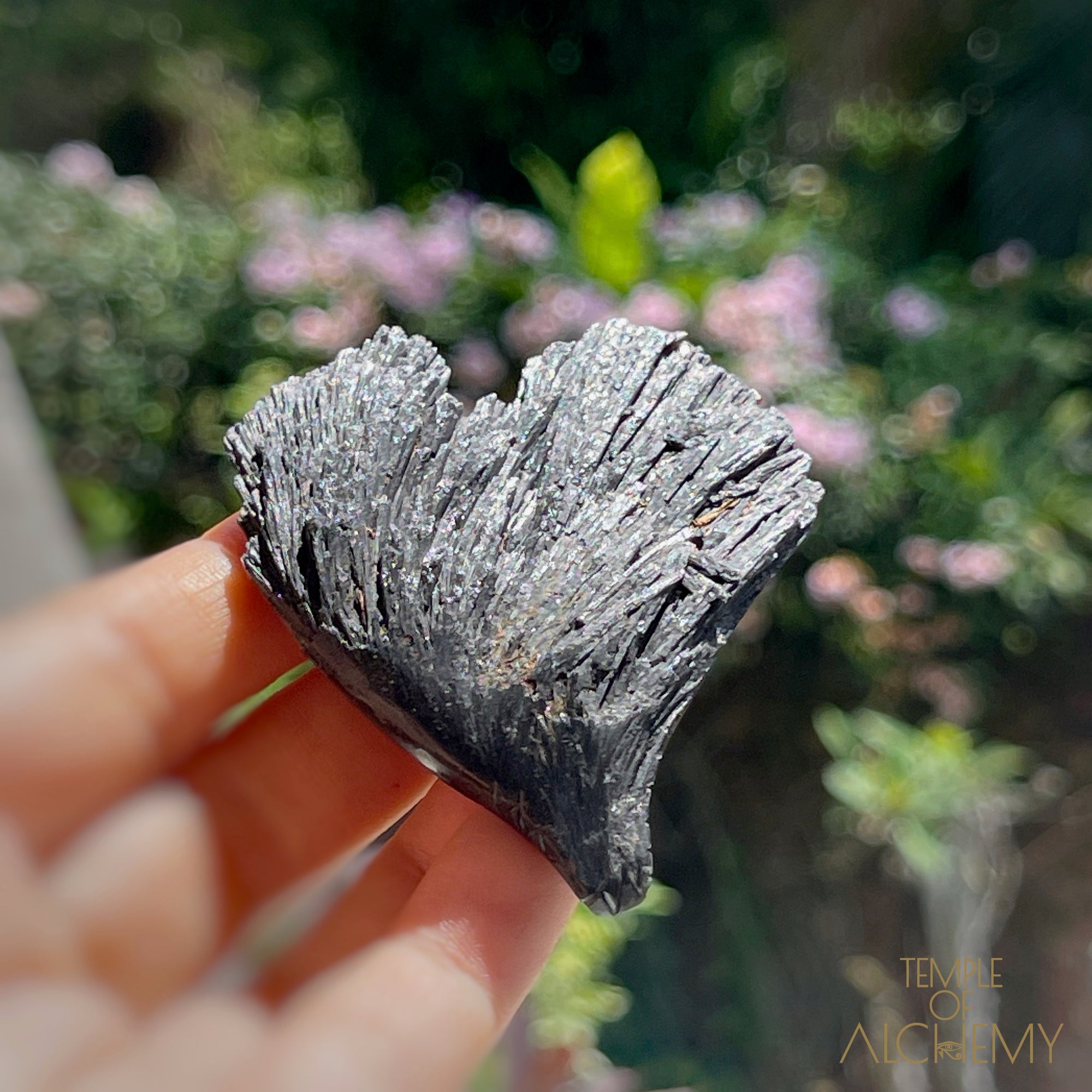 Black Kyanite