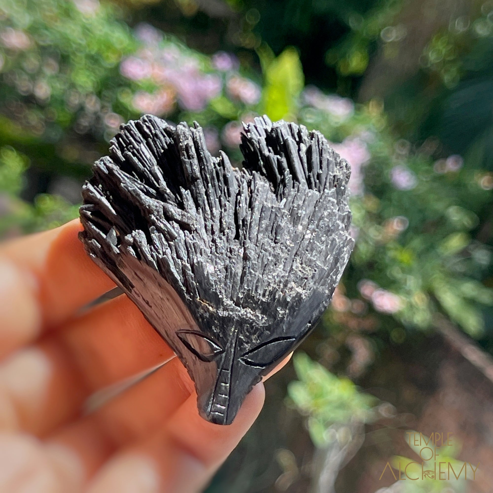Black Kyanite
