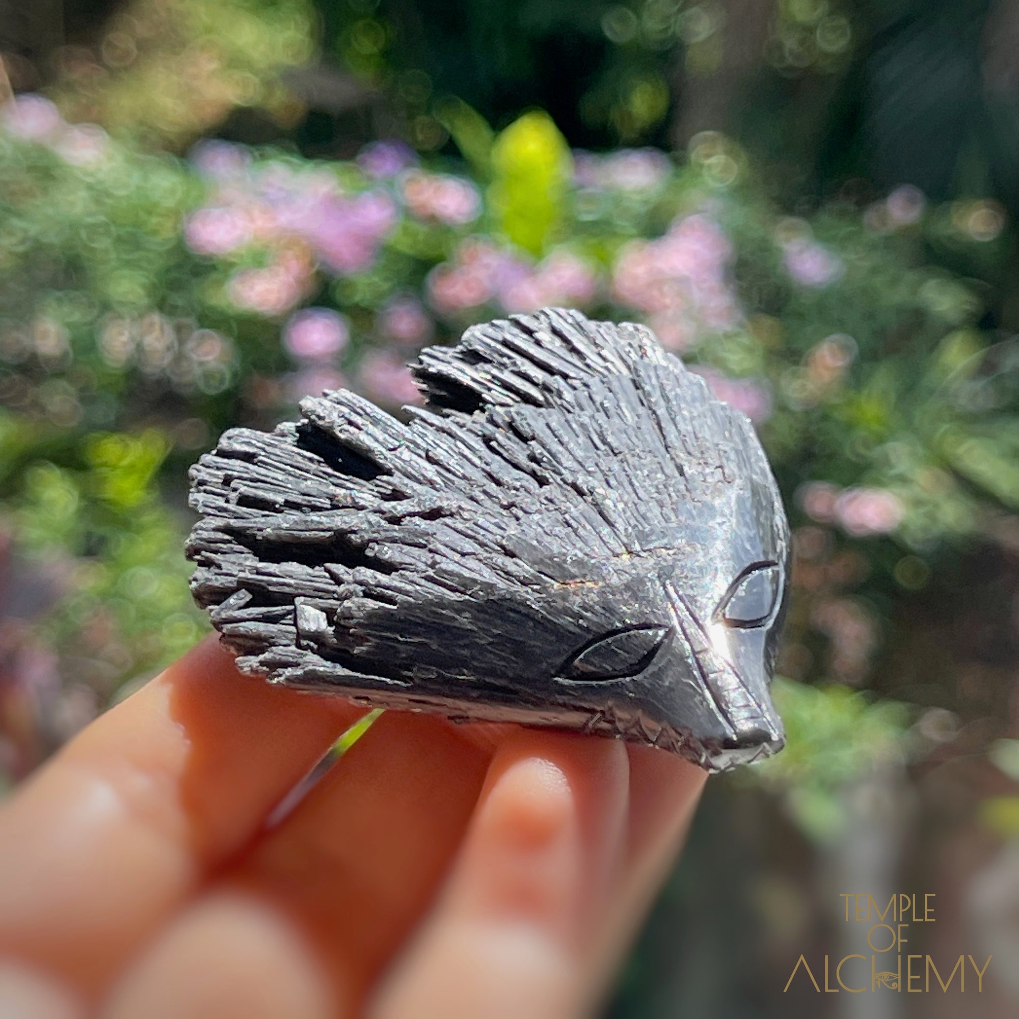 Black Kyanite