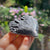 Black Kyanite