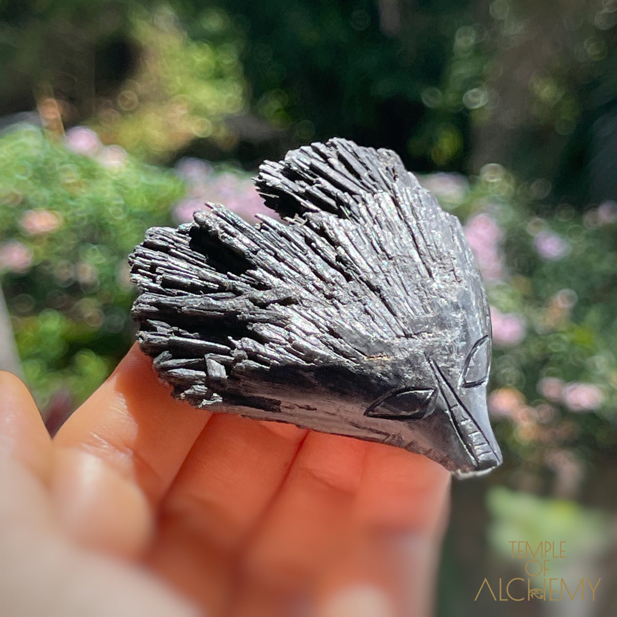 Black Kyanite