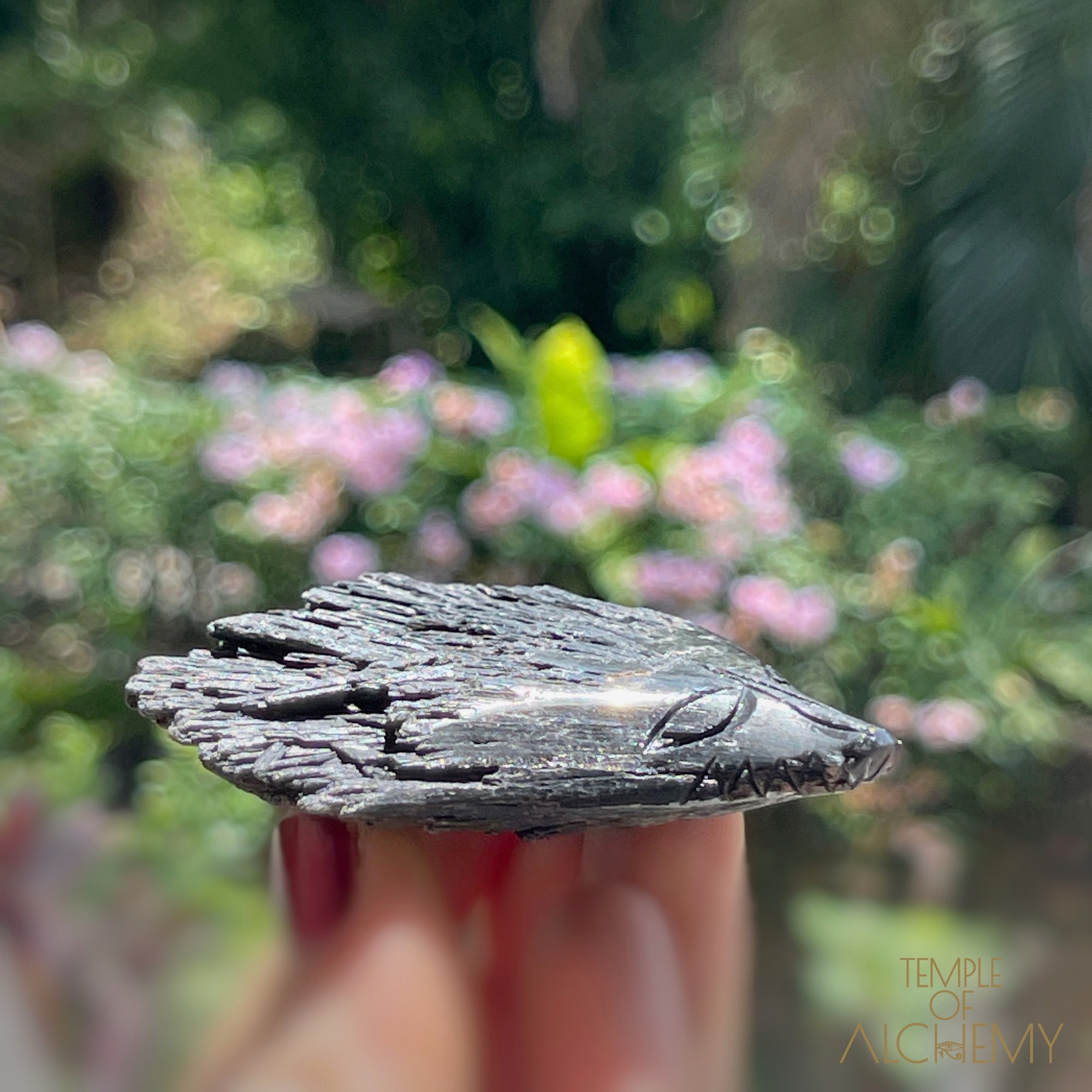 Black Kyanite