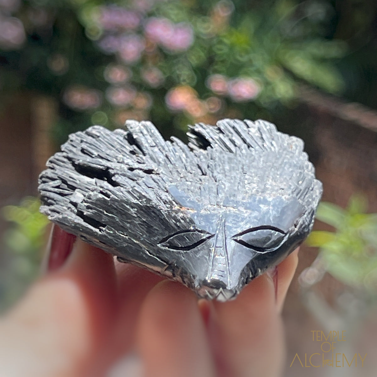 Black Kyanite