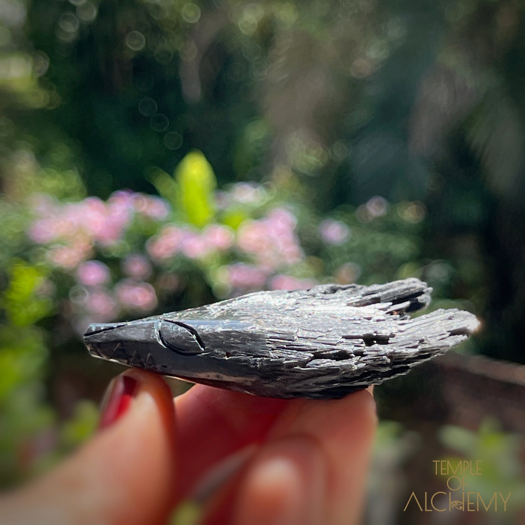 Black Kyanite