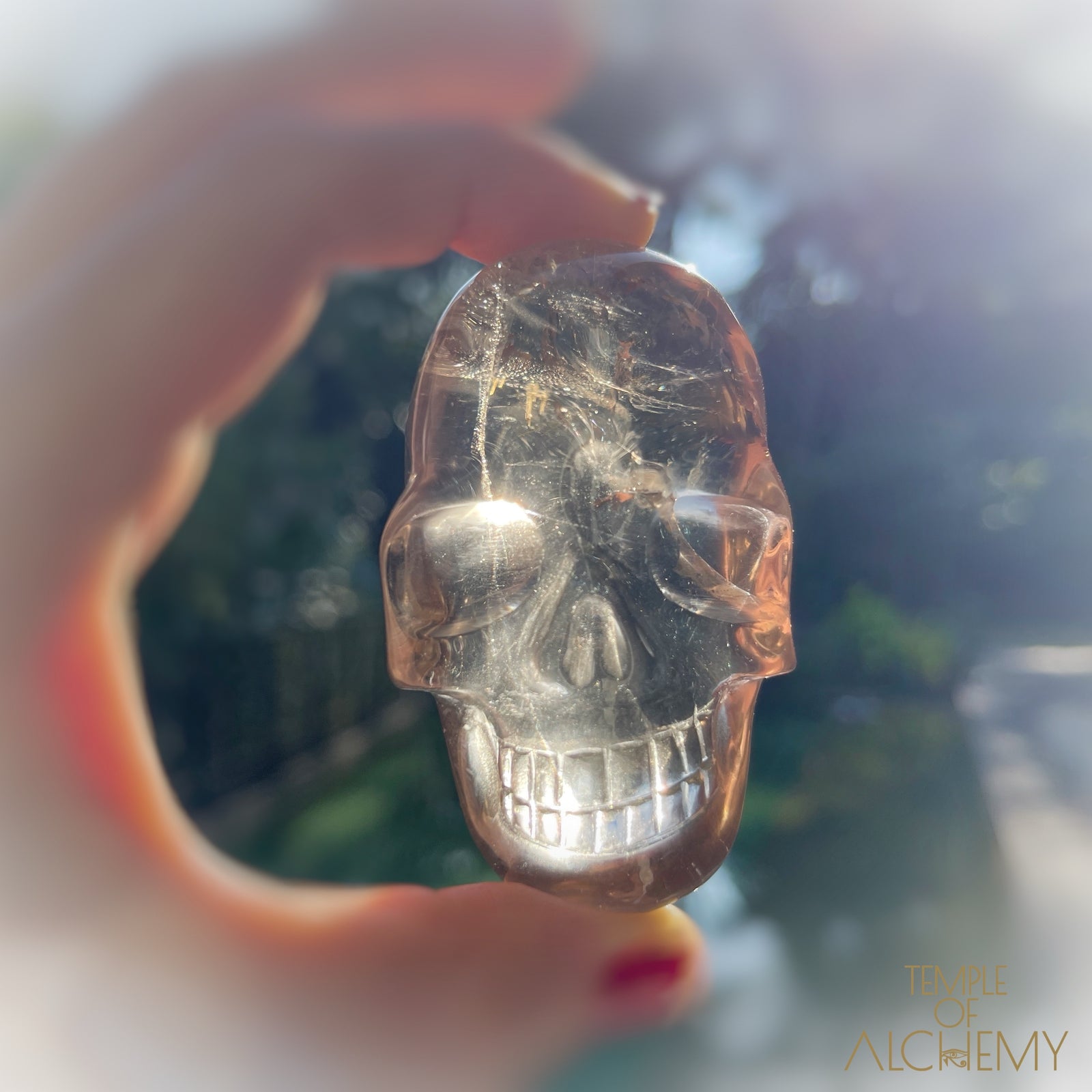 Smoky Citrine x Golden Rutiles