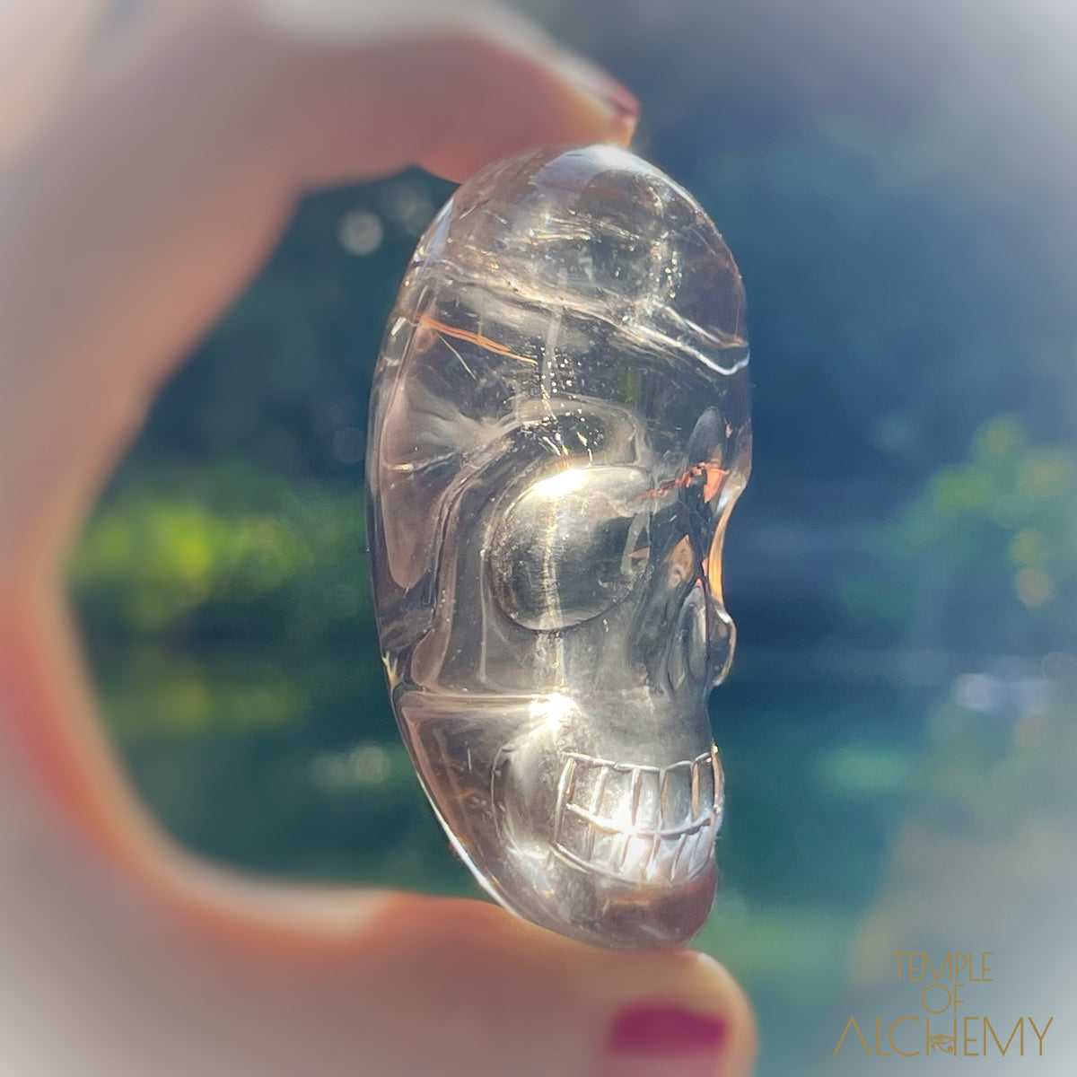 Smoky Citrine x Golden Rutiles