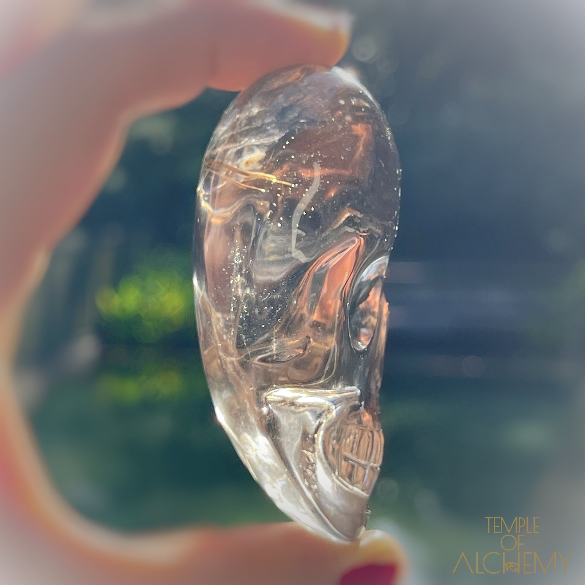 Smoky Citrine x Golden Rutiles