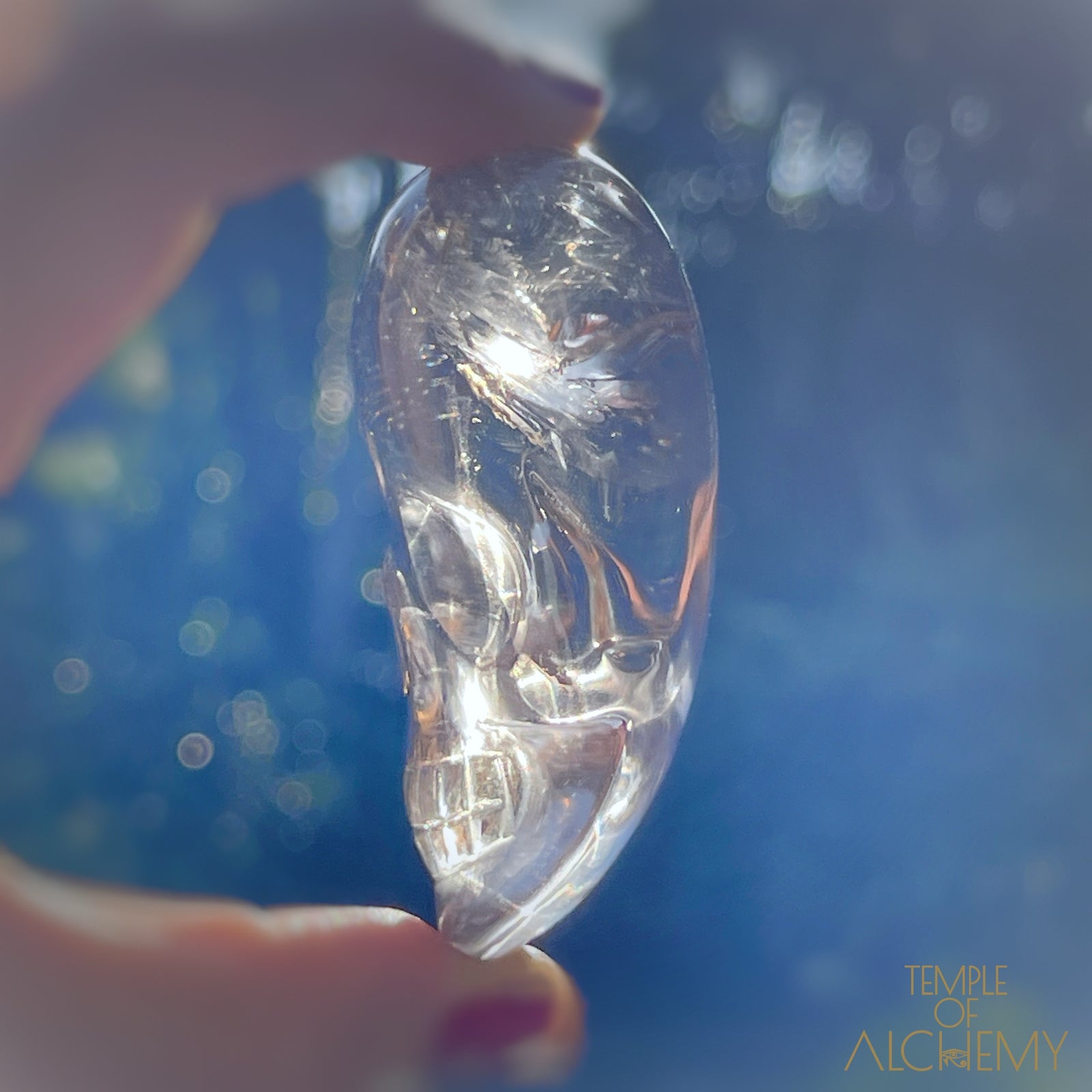 Smoky Citrine x Golden Rutiles