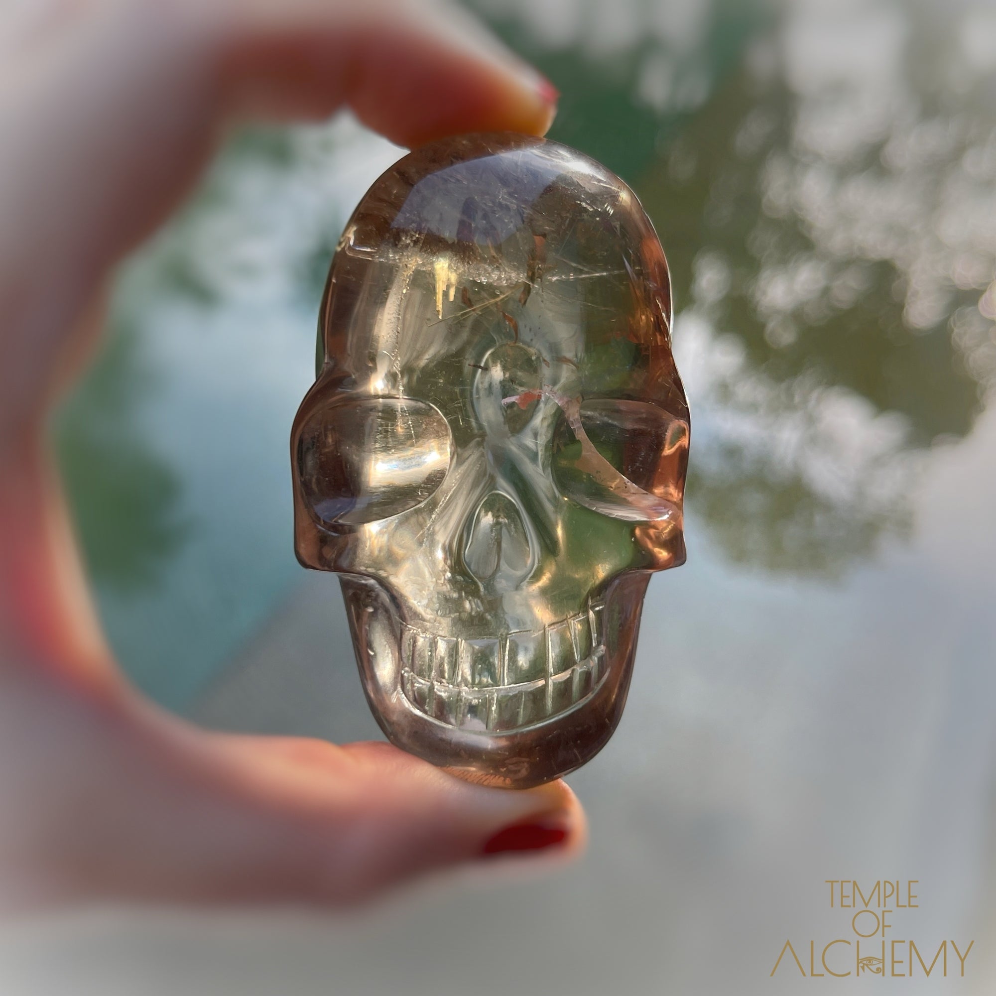 Smoky Citrine x Golden Rutiles