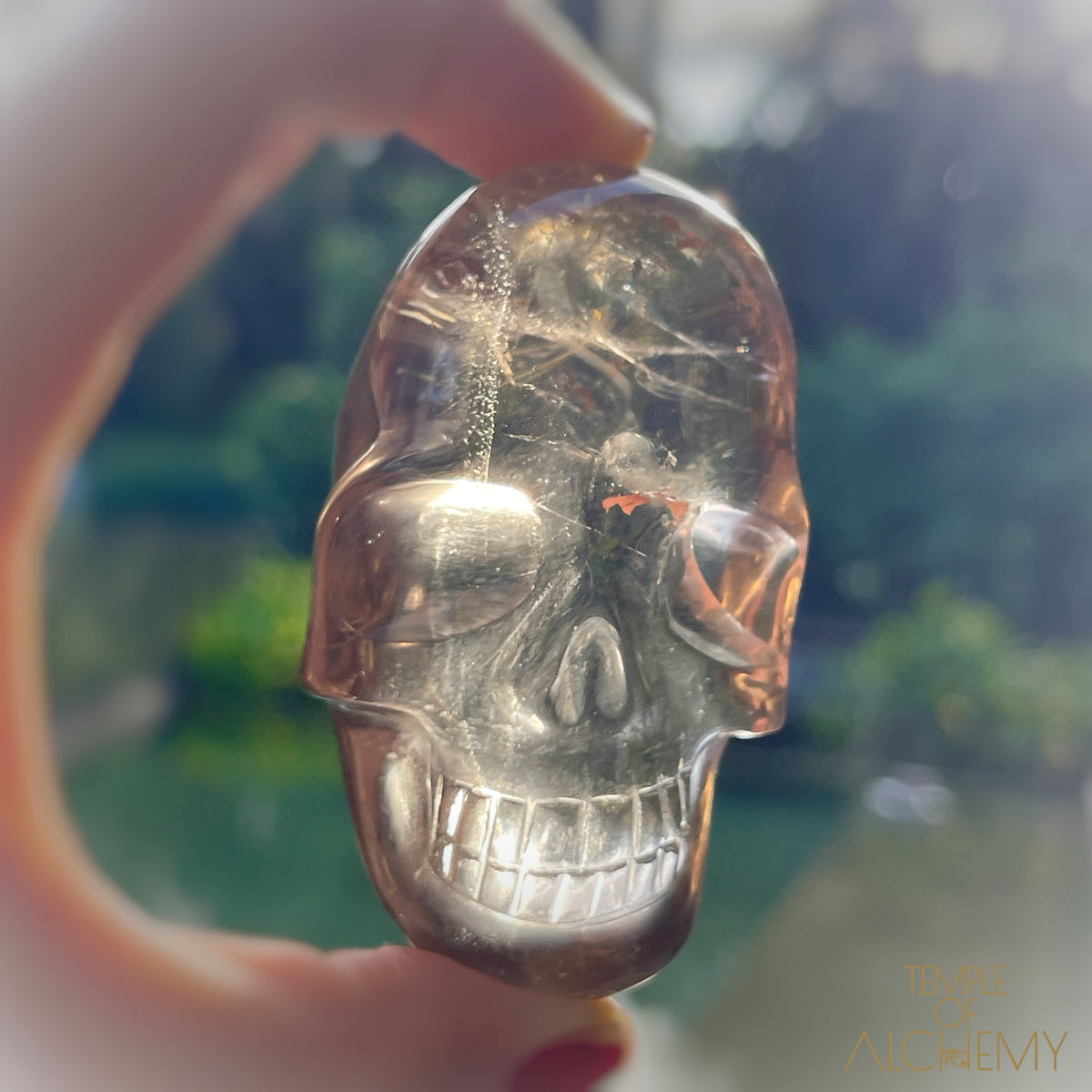 Smoky Citrine x Golden Rutiles