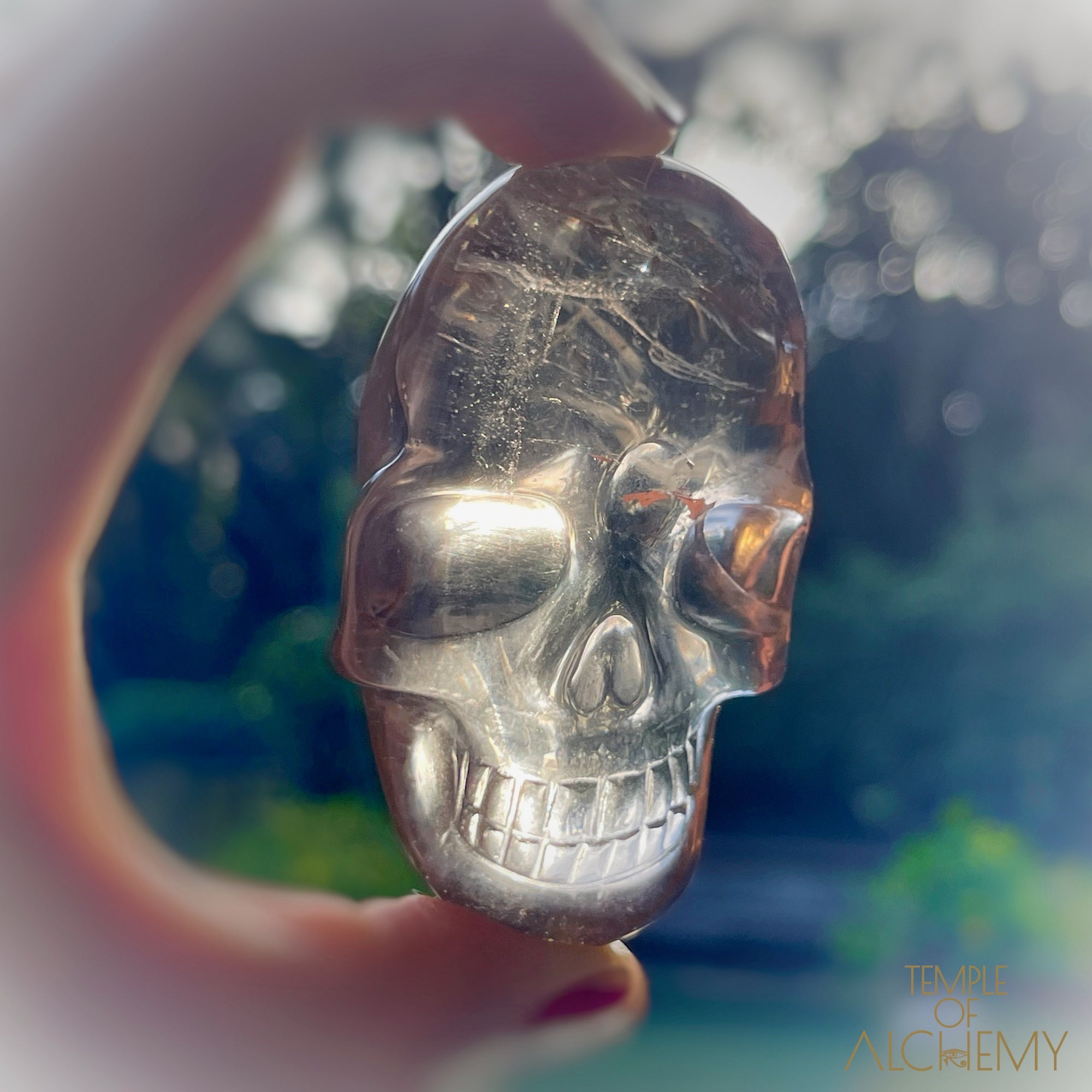 Smoky Citrine x Golden Rutiles