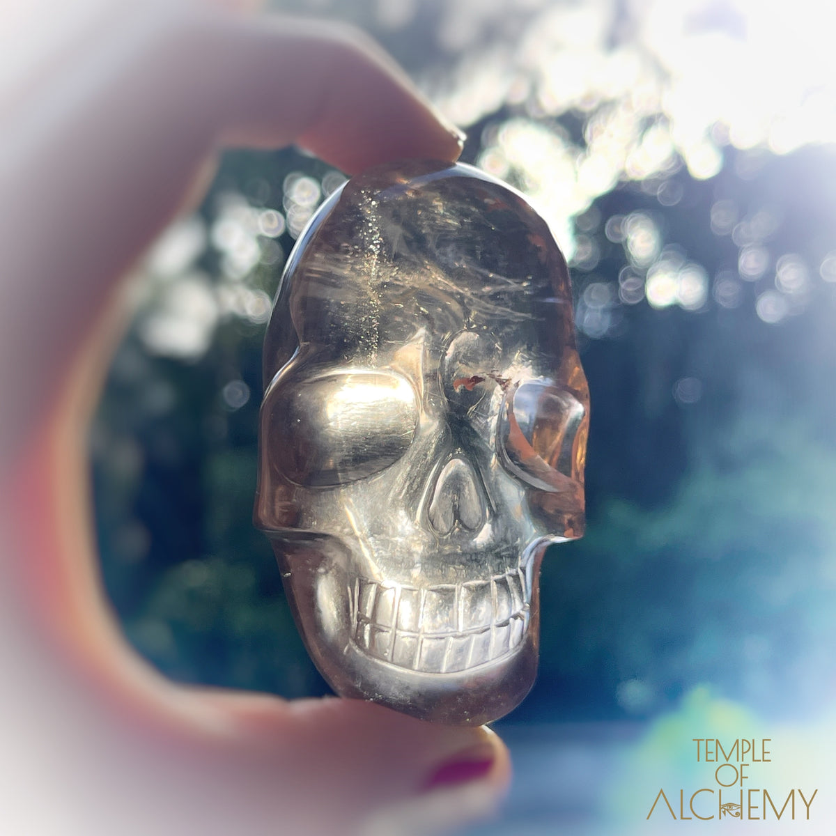 Smoky Citrine x Golden Rutiles