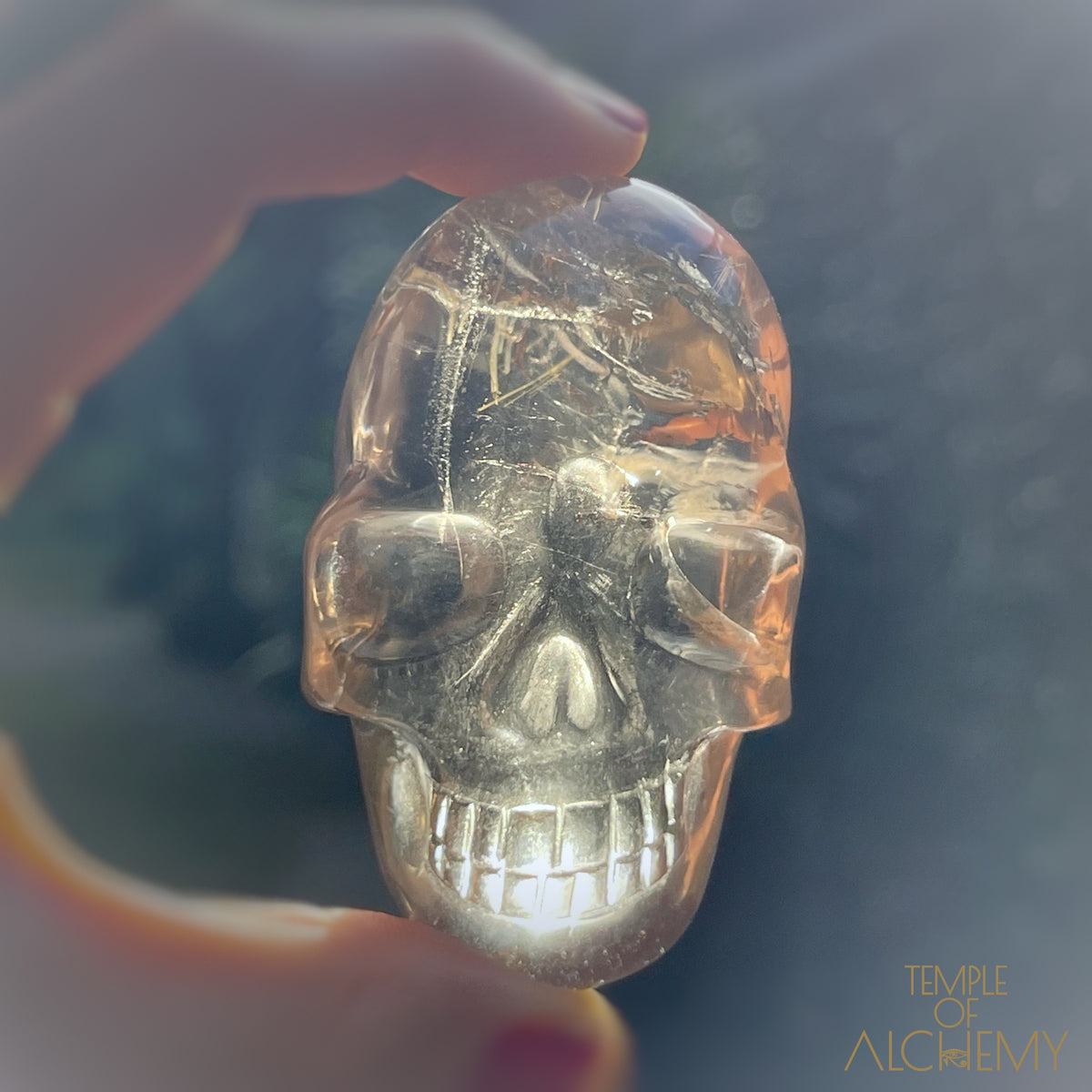 Smoky Citrine x Golden Rutiles