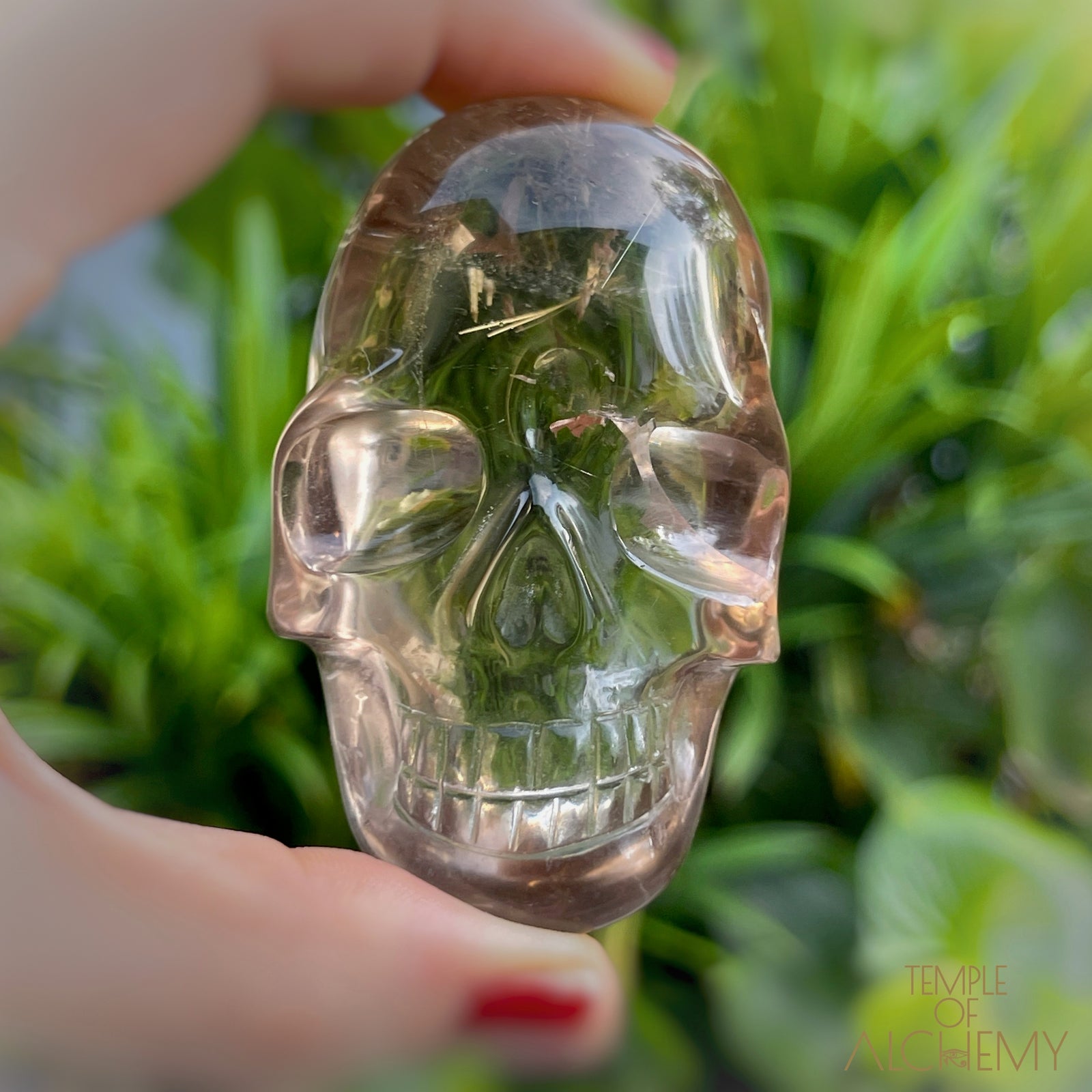 Smoky Citrine x Golden Rutiles