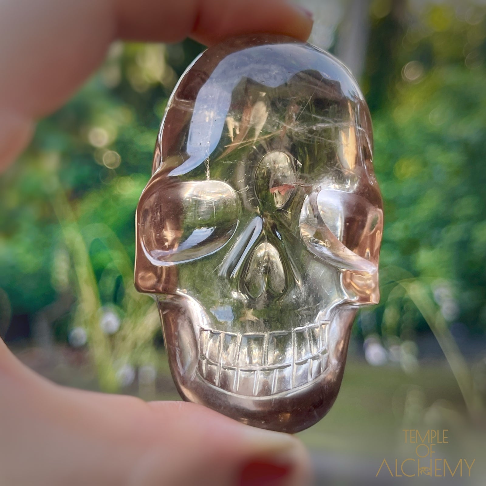 Smoky Citrine x Golden Rutiles