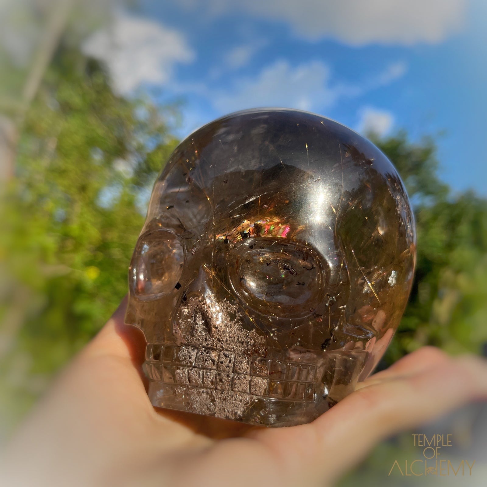 Smoky Citrine x Lodolite x Copper Rutiles