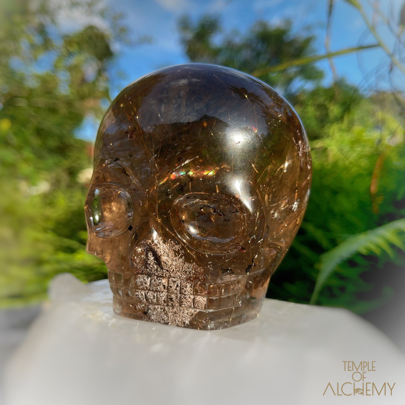 Smoky Citrine x Lodolite x Copper Rutiles