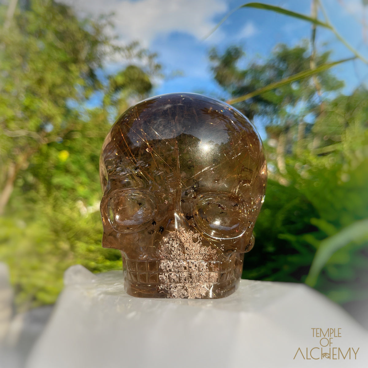 Smoky Citrine x Lodolite x Copper Rutiles