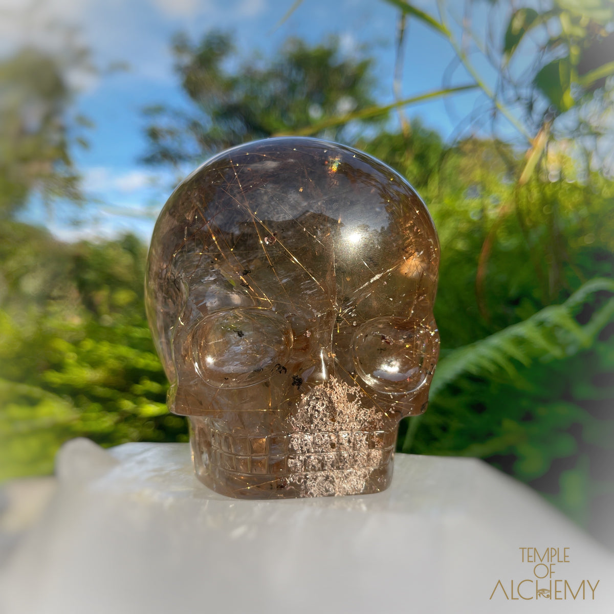 Smoky Citrine x Lodolite x Copper Rutiles